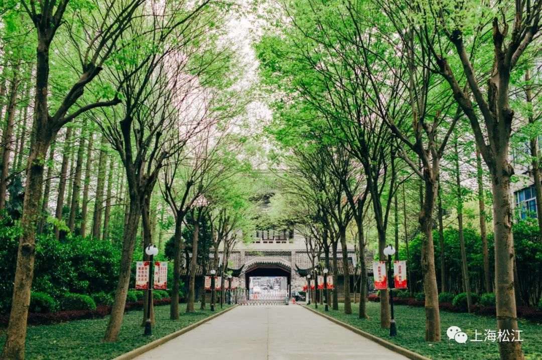 2020松江二中高考,2022年松江二中数学高考成绩