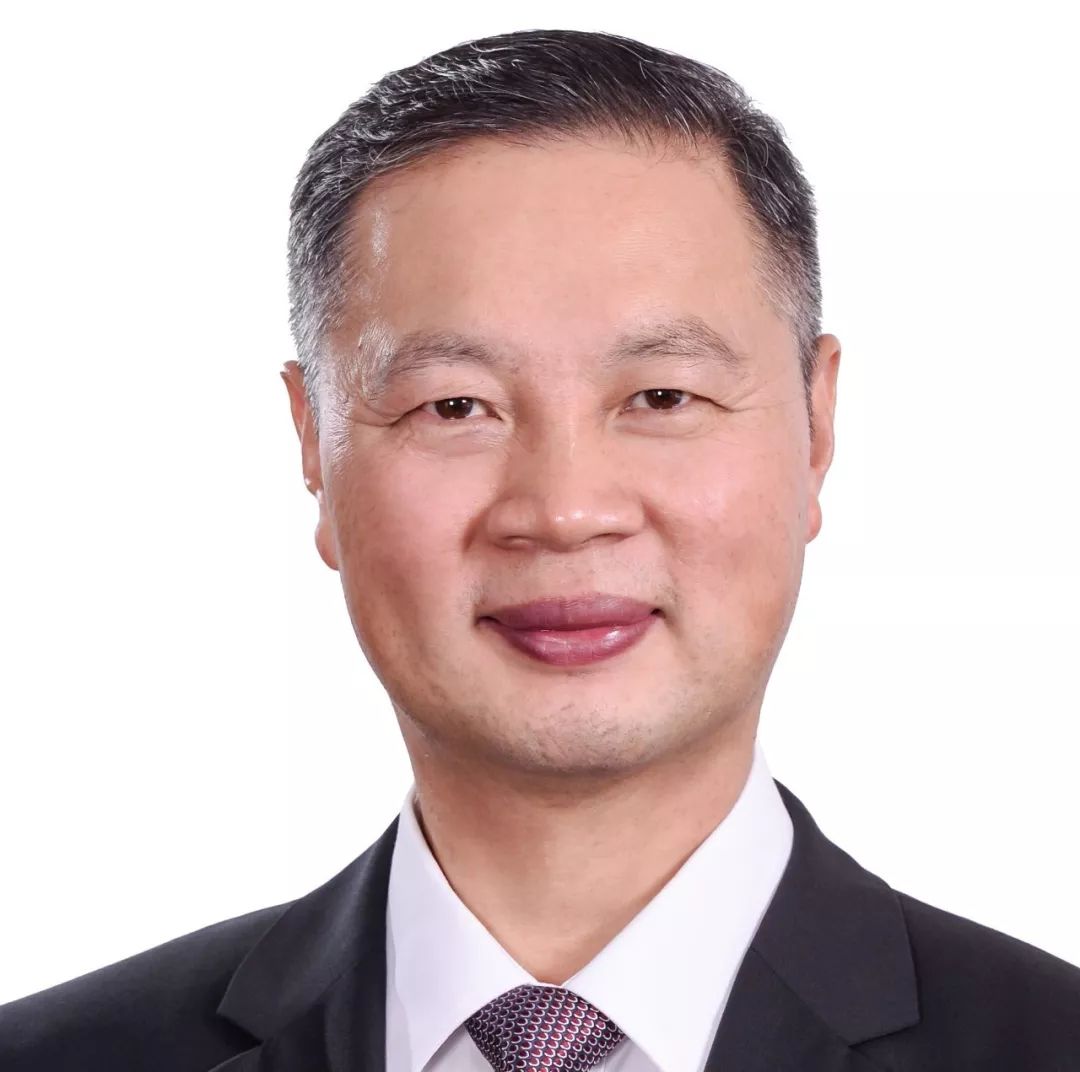 CCCD2019|刘新峰教授：急性脑梗死的血管内介入治疗指南与实施