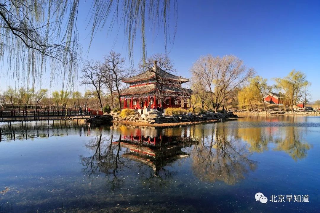 北京怎么治过敏鼻炎 (在北京过敏鼻炎哪里看有效)