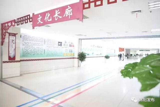 沭阳公立医院2019招聘,沭阳人民医院薪资