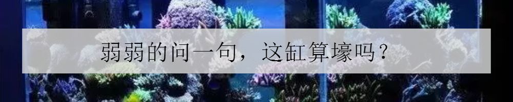 海缸停电5小时会怎样,海缸遇到停电怎么办