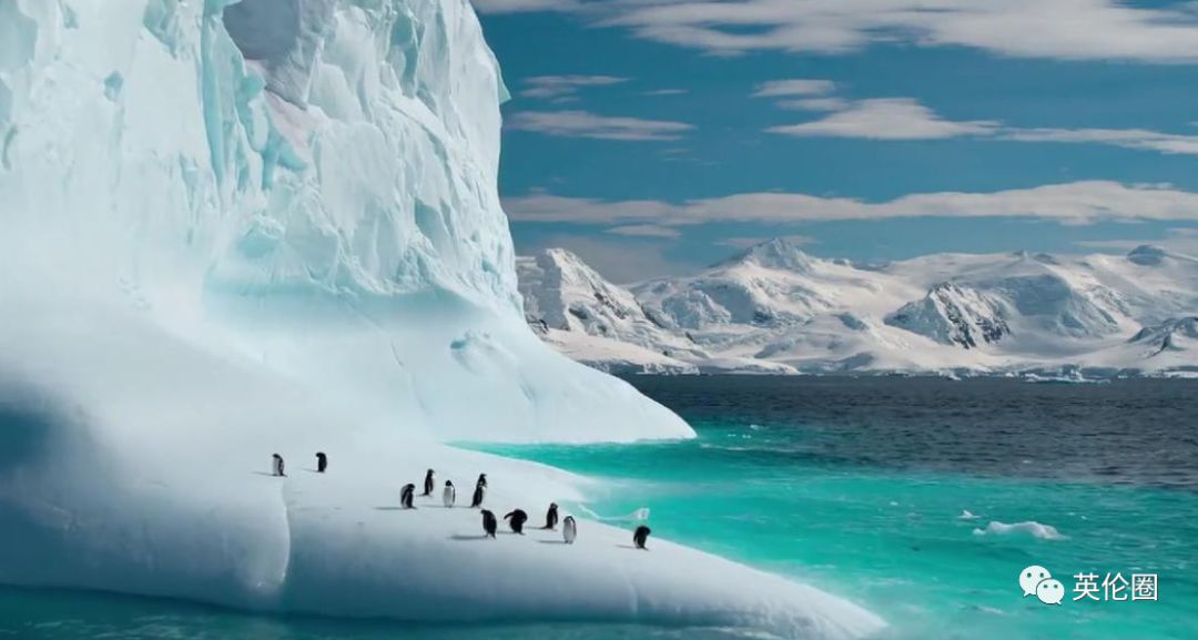 bbc经典必看十大纪录片,bbc十大经典纪录片9.9