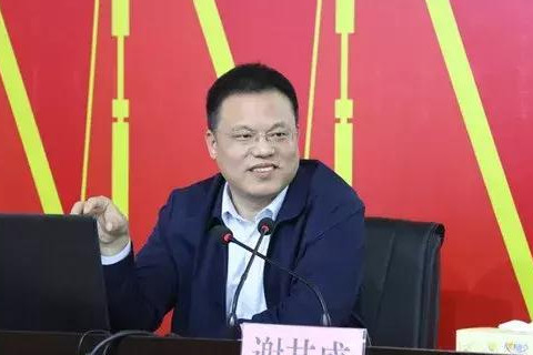 新县职业高级中学杰出校友,新县职业高级中学知名校友