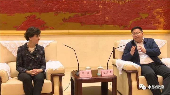 王逍霄,王逍霄演讲视频