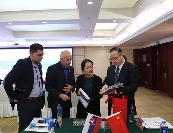热烈欢迎斯洛伐克商务代表团来我区访问——我区举行中斯企业合作洽谈会