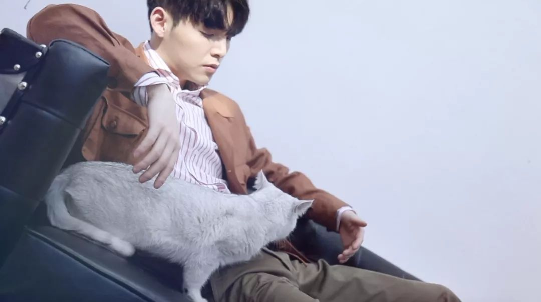 朱星杰，你到底有多少理想型？