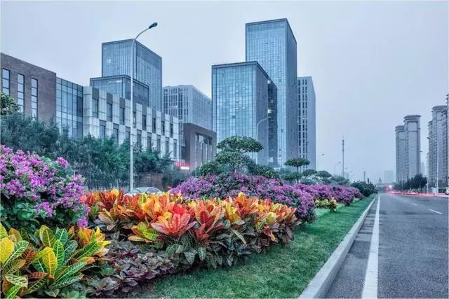 活力天津遇见河西,活力天津图片大全