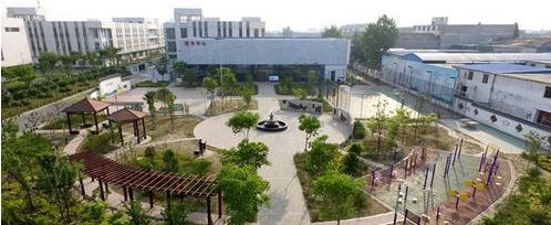 蹲点采访一线者的心声,蹲点采访环卫工人8小时工作