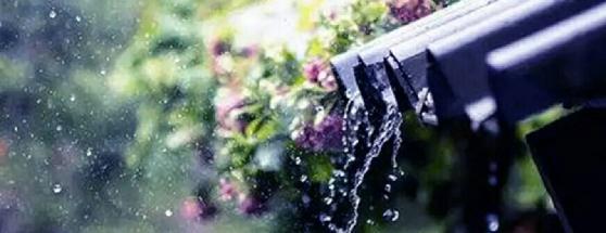 今日谷雨春光将逝莫辜负,今日谷雨原创