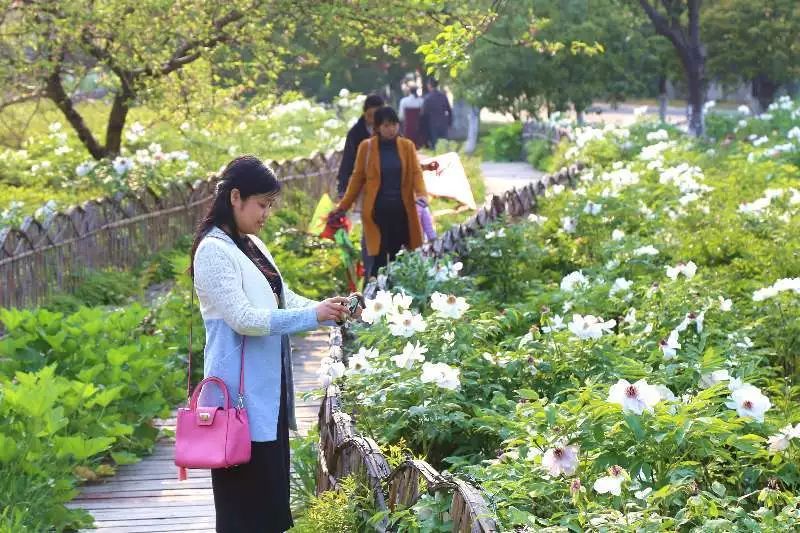 视觉张家港丨一周精选（66）