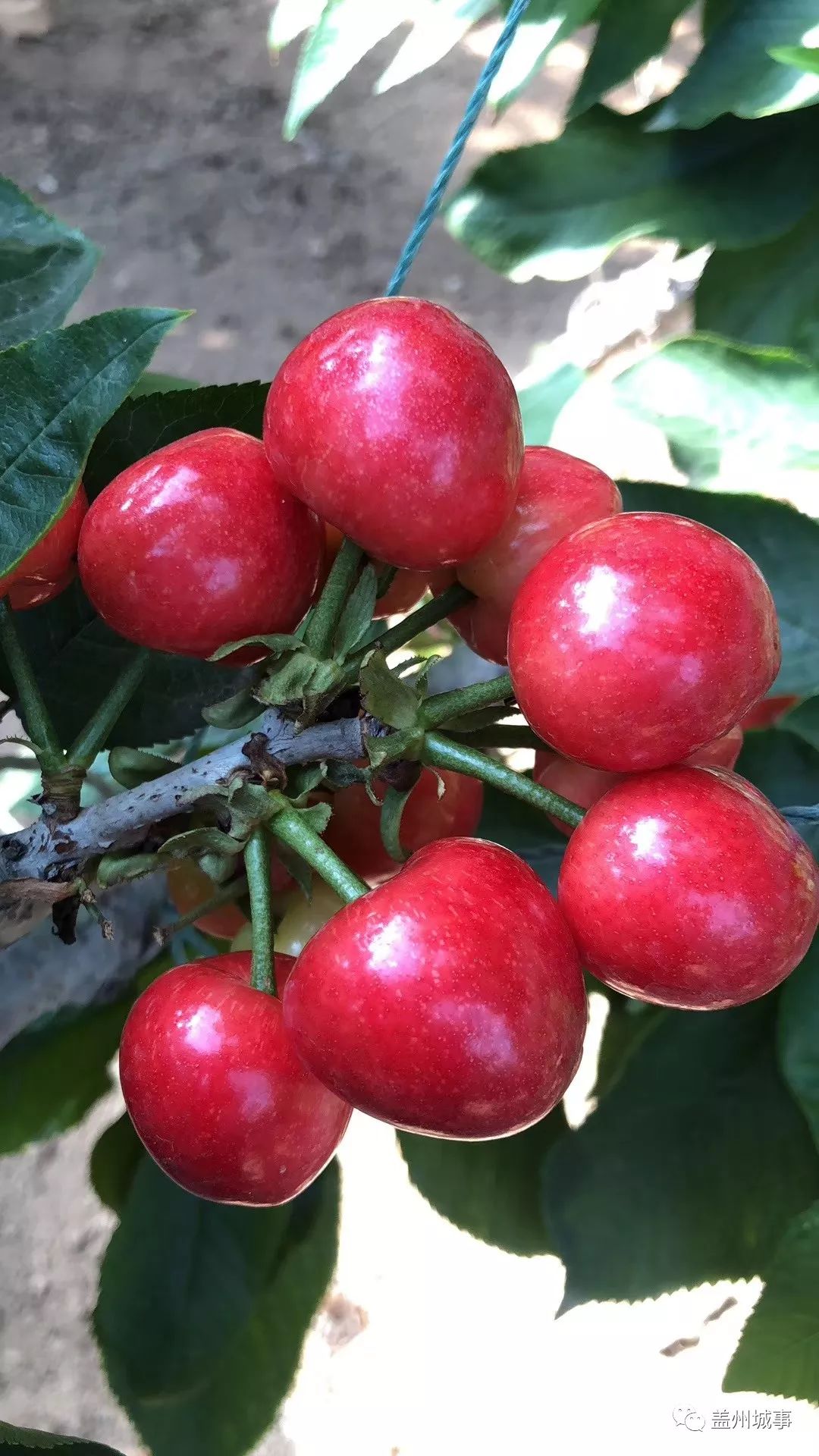 五一盖州游玩攻略带孩子,五一假期旅游安排表