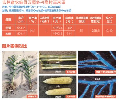 金香玉玉米肥,金香玉复合肥玉米专用肥亩用量