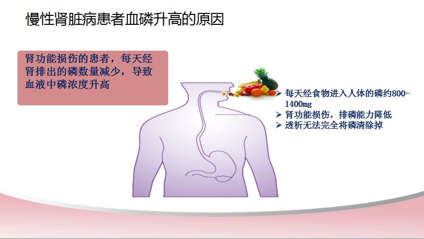 科普肾脏,医学科普出汗和肾脏关系