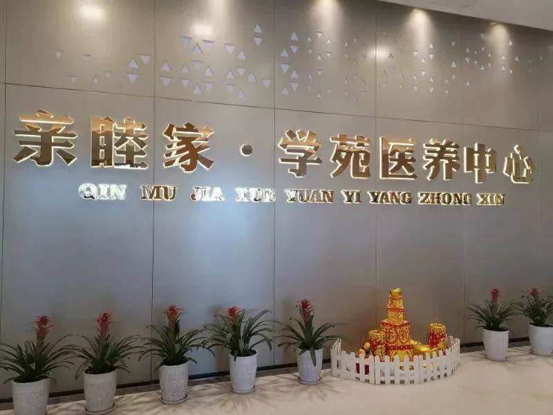 关于开展老年医疗护理试点的思考,老龄工作机构不断健全