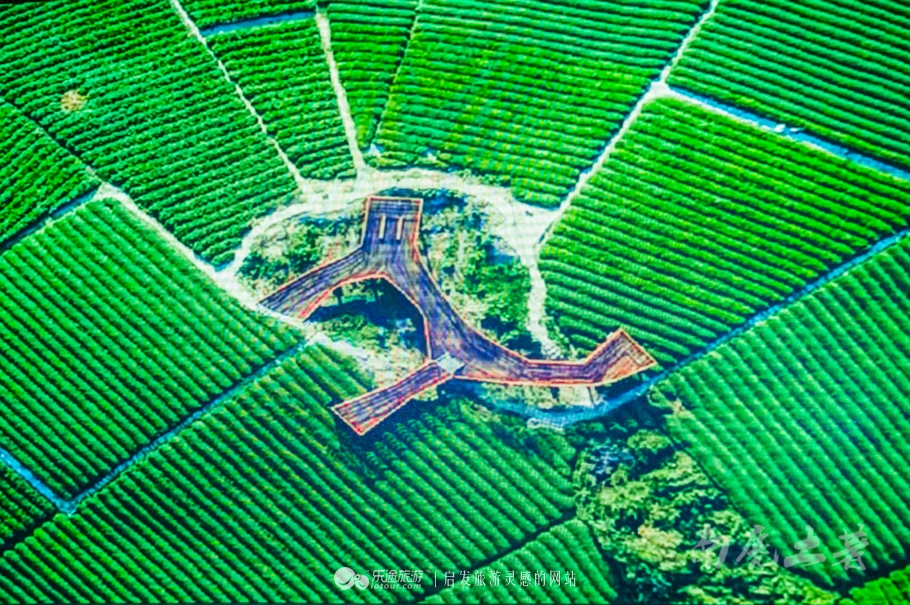 茶话会的形式是什么,中国茶道和日本茶道有什么联系