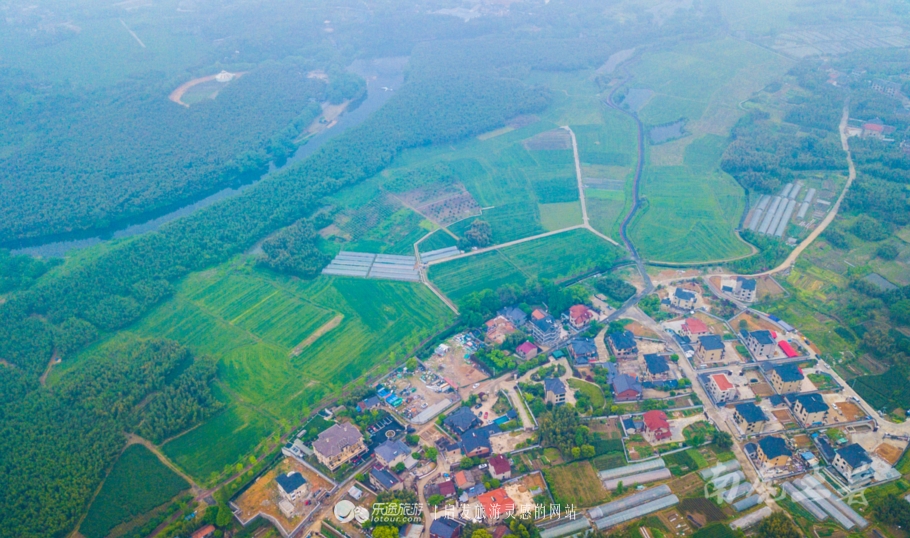 茶话会的形式是什么,中国茶道和日本茶道有什么联系