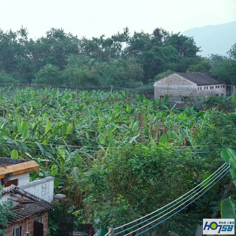 行摄肇庆·美丽砚洲岛——最接地气的生活记录，真实的力量打动人心