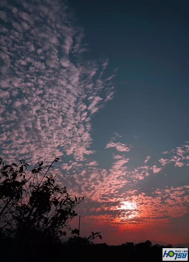 行摄肇庆·美丽砚洲岛——最接地气的生活记录，真实的力量打动人心