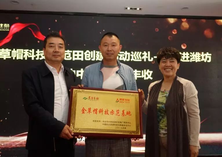 4大核心营销方案,4大核心