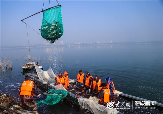 淄博:萌山水库上演人欢鱼跃“捕鱼季”首日捕鱼“鱼王”足足30斤