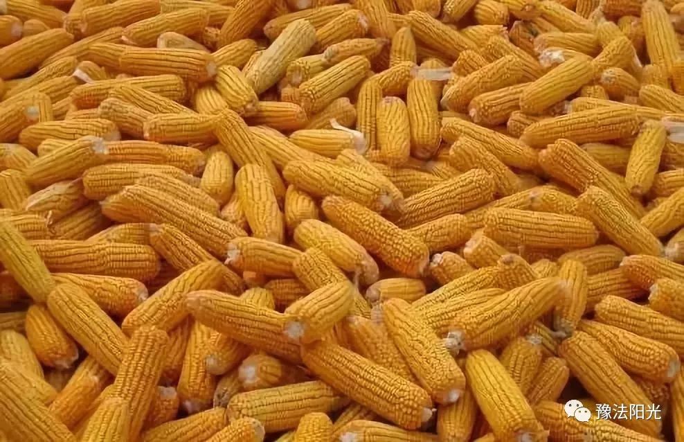 泉州法院保护知识产权十大案例,上海法院知识产权司法保护十大案