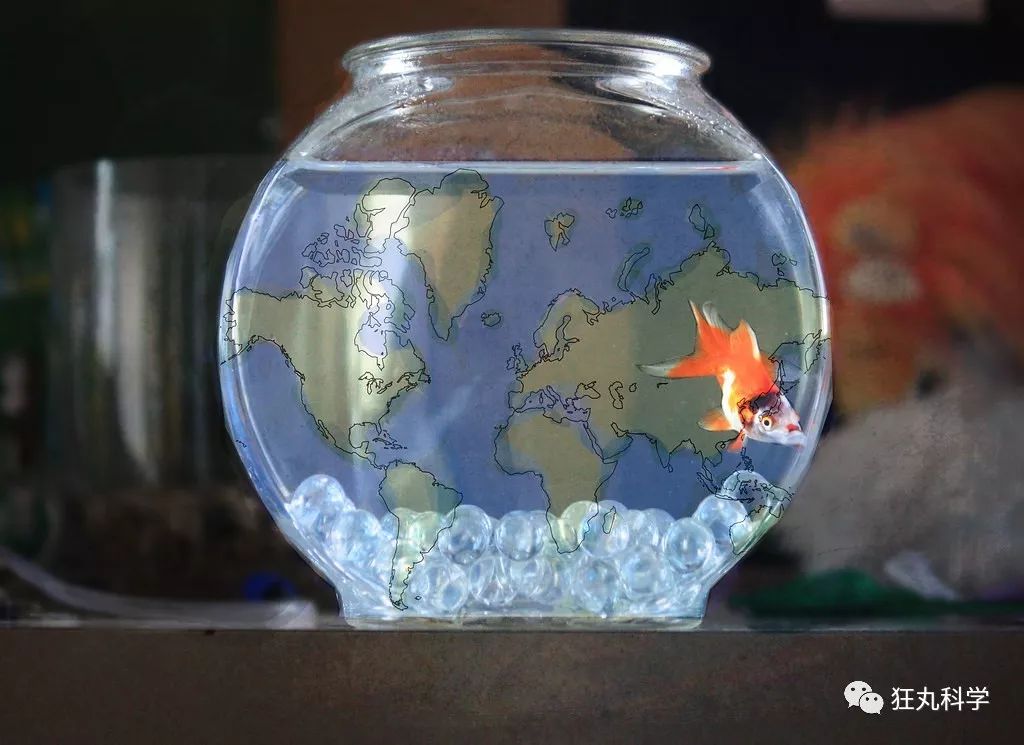 古代人有近视怎么办,古代人近视了该怎么办