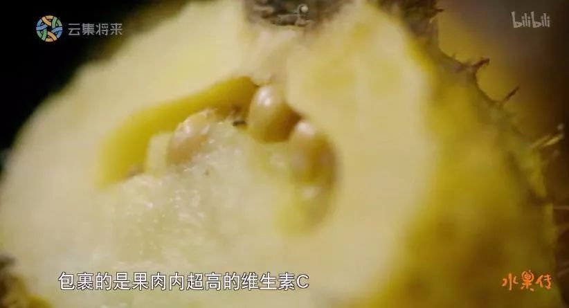 凌晨私奔、一夫六妻，水果圈的戏码你根本想不到