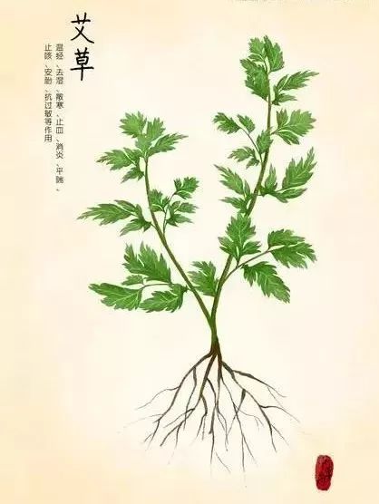 止痒消肿蚊虫膏泰国,泰国防蚊子药膏