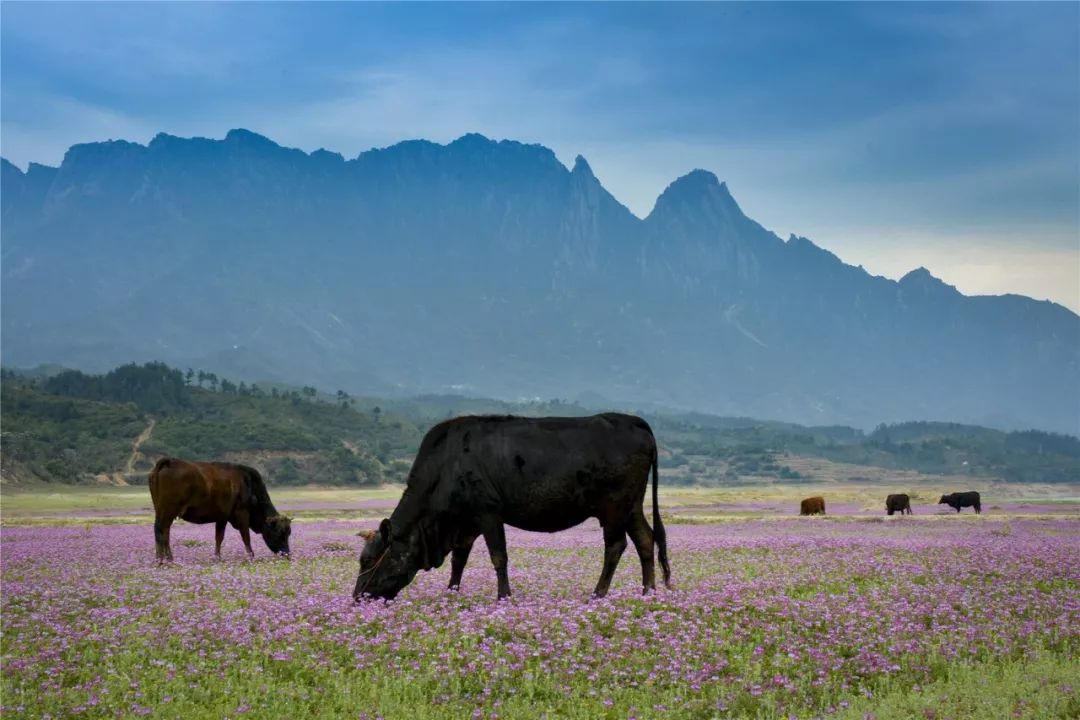 江西省中国十大名山,江西省十大名山最新排名