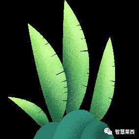 甜瓜节地点,马连庄甜瓜节开幕式