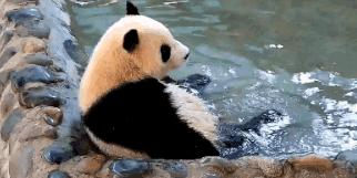 你才可爱你全家都可爱出处,你才可爱你全家都可爱怎么回