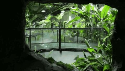 五一各地旅游活动安排动态,五一旅游各市报告出炉