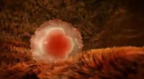 无痛人流有多恐怖,人流手术对女生有多残忍