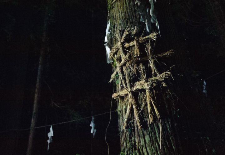 今天我们要来吐槽些什么呢,今天我们来聊聊音频