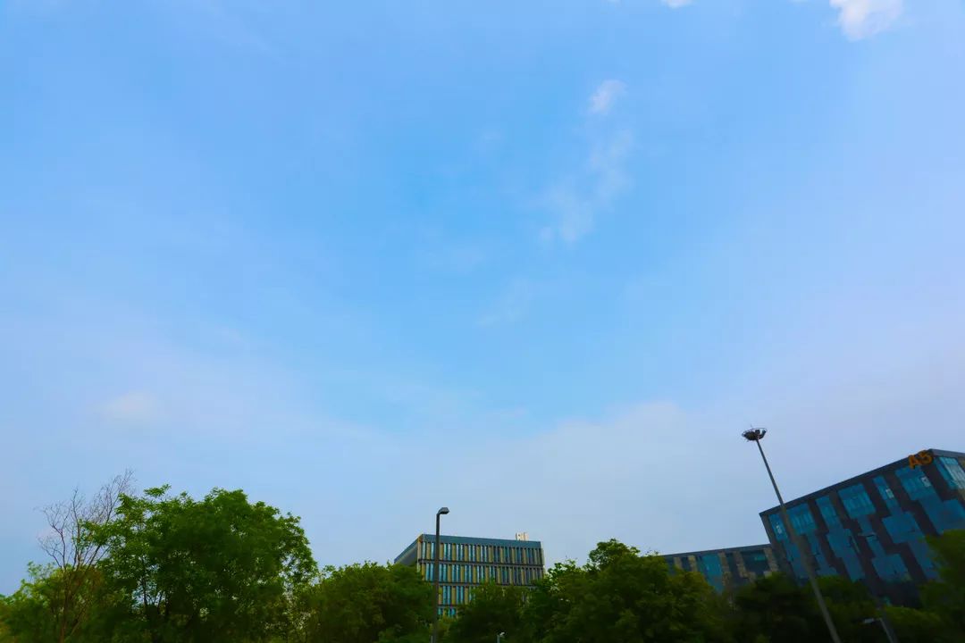 又见“高新蓝”！济宁高新区多措并举亮“组合拳”