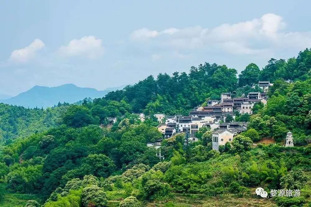 【五一·爽心游江西】婺源最全旅游攻略已为您备好，快来婺源“嗨”翻天！