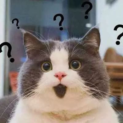 今朝上海|上海97岁“麻将王”,忘了全世界,都忘不了......麻将!