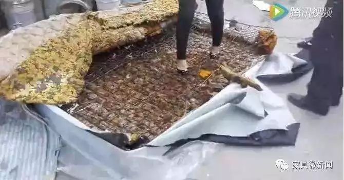 可怕！江都一女士睡了一晚新买的棕垫，浑身发痒！掀开一看……