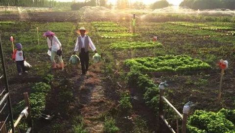 北方人从此不稀罕去海南买海景房了？在北纬41°有了一片海叫东戴河！