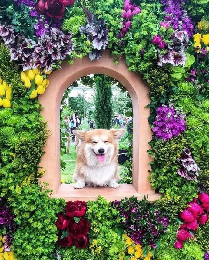 待天气晴好,伦敦阴雨天去哪旅游好
