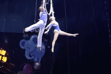 上海野生动物园游览攻略,上海野生动物园的旅游路线示意图