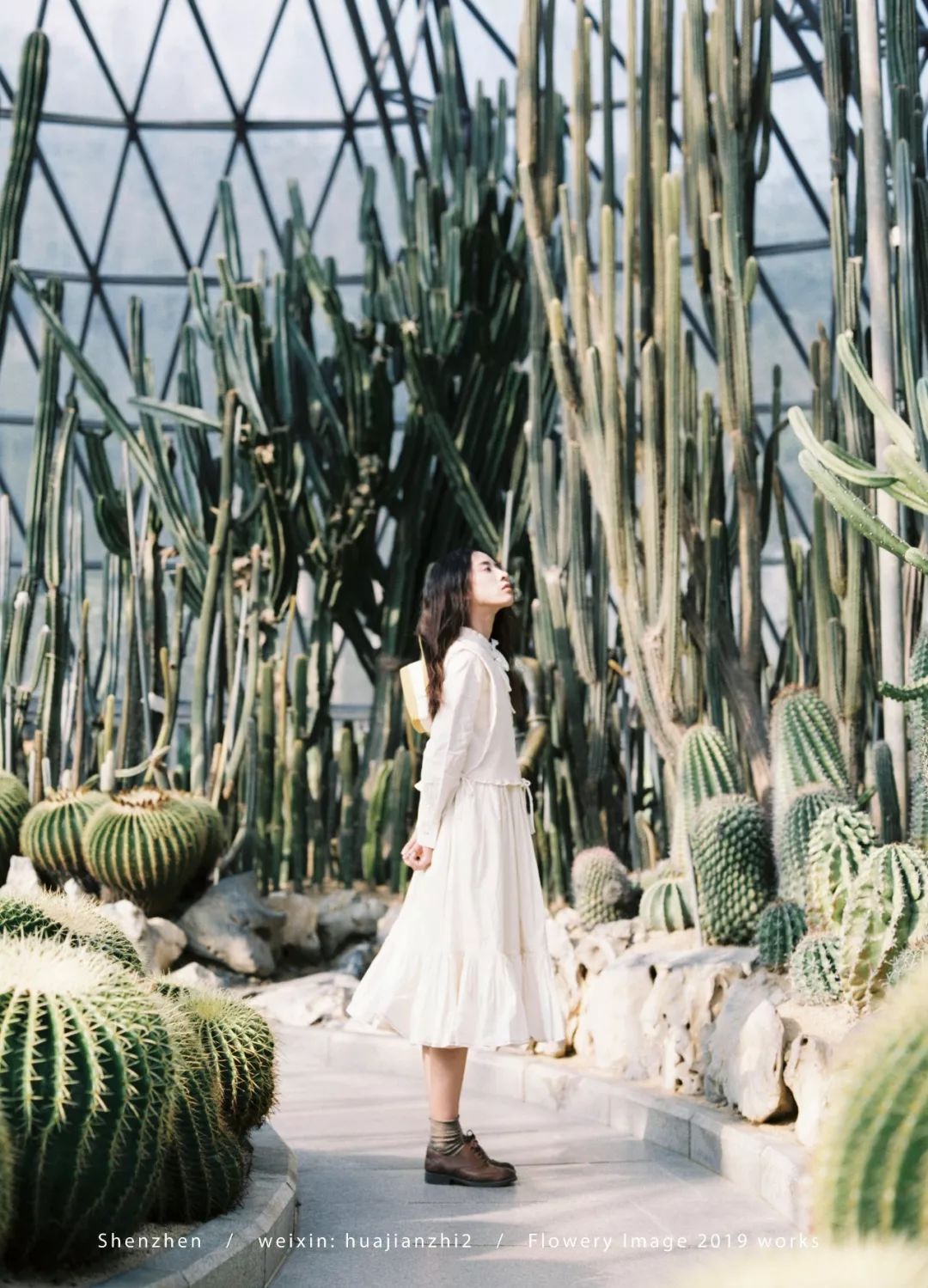 深圳推荐拍照地,深圳高逼格适合拍照的地方