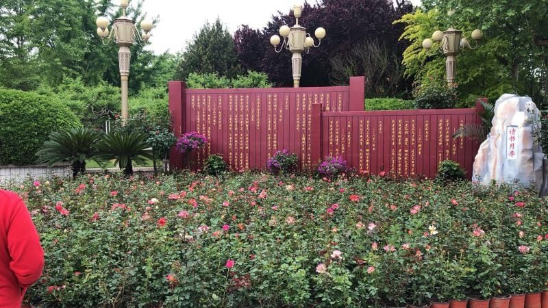 周末游玩攻略石家庄天气,石家庄两日游三月天气如何