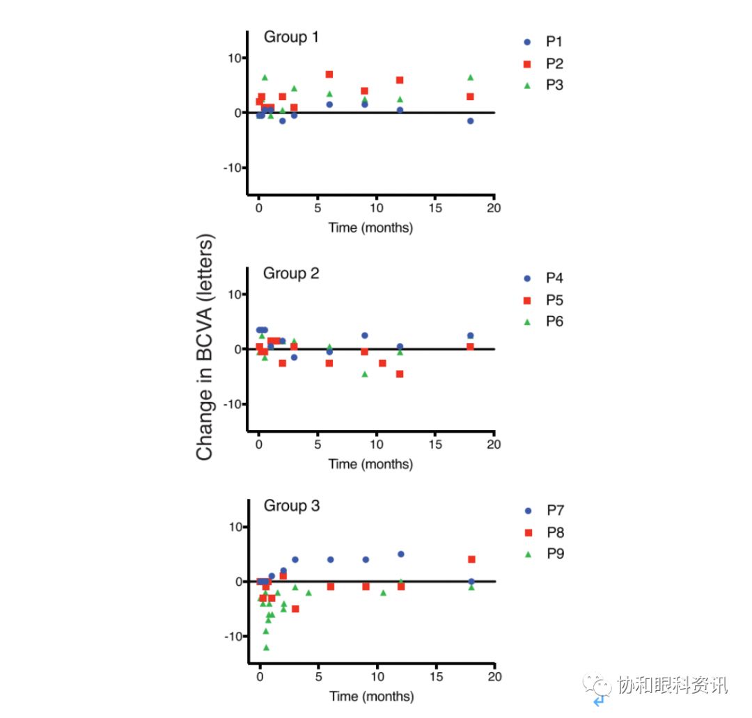 文摘速递丨X-连锁视网膜劈裂基因治疗的I/IIa期临床试验