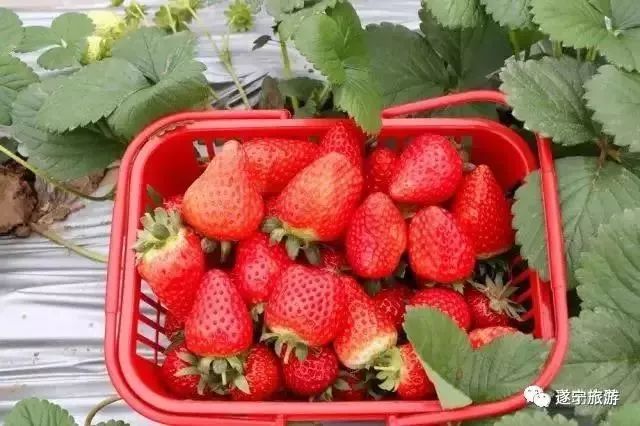 五一嗨起来山东济南,五一节嗨起来视频