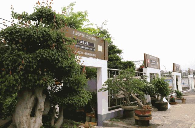 江苏沭阳春日旅游攻略图,沭阳旅游攻略自由行