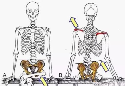 28岁腰已经废了怎么办,三十岁了腰就废了怎么办