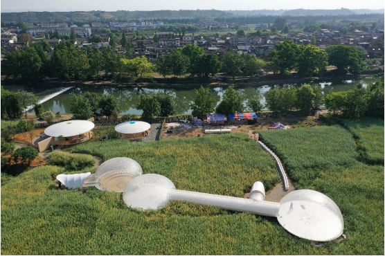 公园新玩法,公园项目的正确玩法