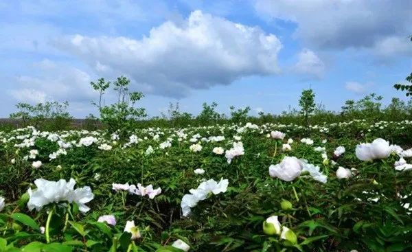 错过等一年,错过等一年歌曲视频