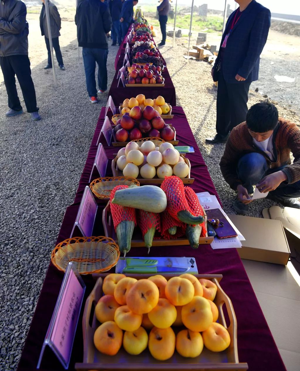 美景美食不虚此行,美景美食美不胜收